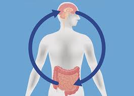 Hội chứng ruột kích thích (IBS): Nguyên nhân và triệu chứng.