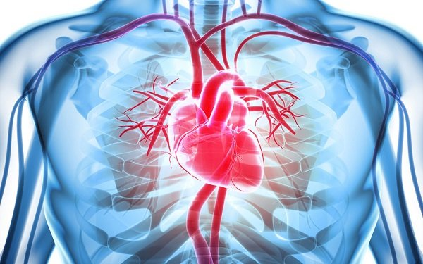 Thấp tim: nguyên nhân, chẩn đoán và điều trị