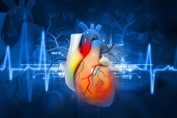 Viêm màng ngoài tim: biểu hiện, chẩn đoán và điều trị