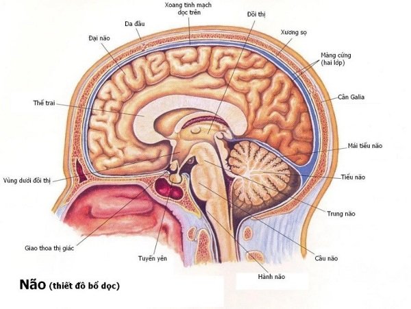Bệnh u não ở trẻ em: Triệu chứng, điều trị và những điều bạn cần biết