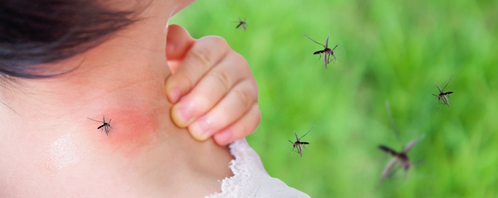 Phòng chống sốt xuất huyết hiệu quả cho trẻ