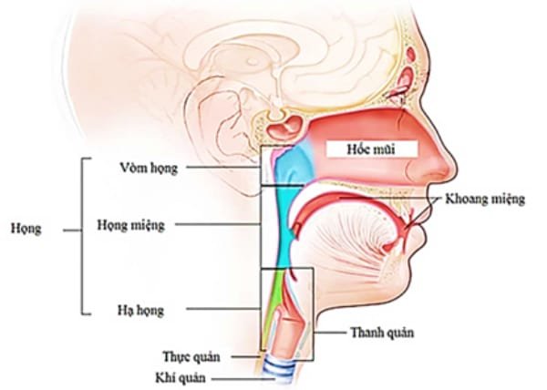 Những cách chữa ung thư vòm họng