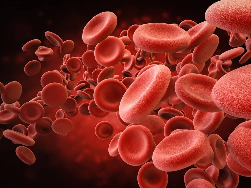 Chức năng của hồng cầu là gì? Các vấn đề sức khỏe liên quan đến hồng cầu