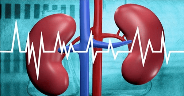 Hẹp động mạch thận: biểu hiện, chẩn đoán và điều trị