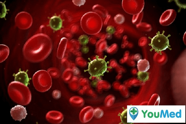 Hội chứng thực bào tế bào máu – Một bệnh lý khá nguy hiểm