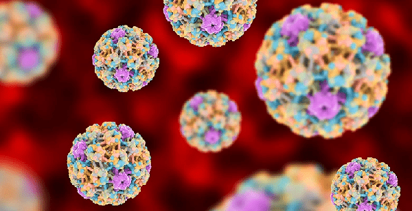 Nhóm đối tượng không nên tiêm phòng HPV