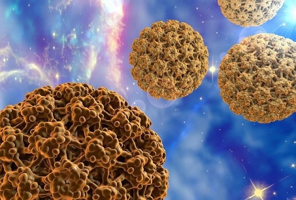 Virus HPV tồn tại ngoài môi trường bao lâu?