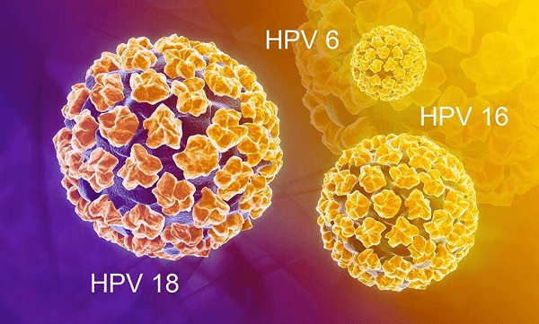 Virus HPV và nguy cơ ung thư cổ tử cung
