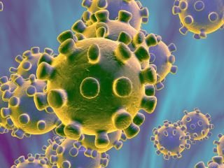 Khẩu trang nào có thể giúp ngăn ngừa nhiễm viêm phổi cấp do vi rút Vũ Hán 2019-nCoV?