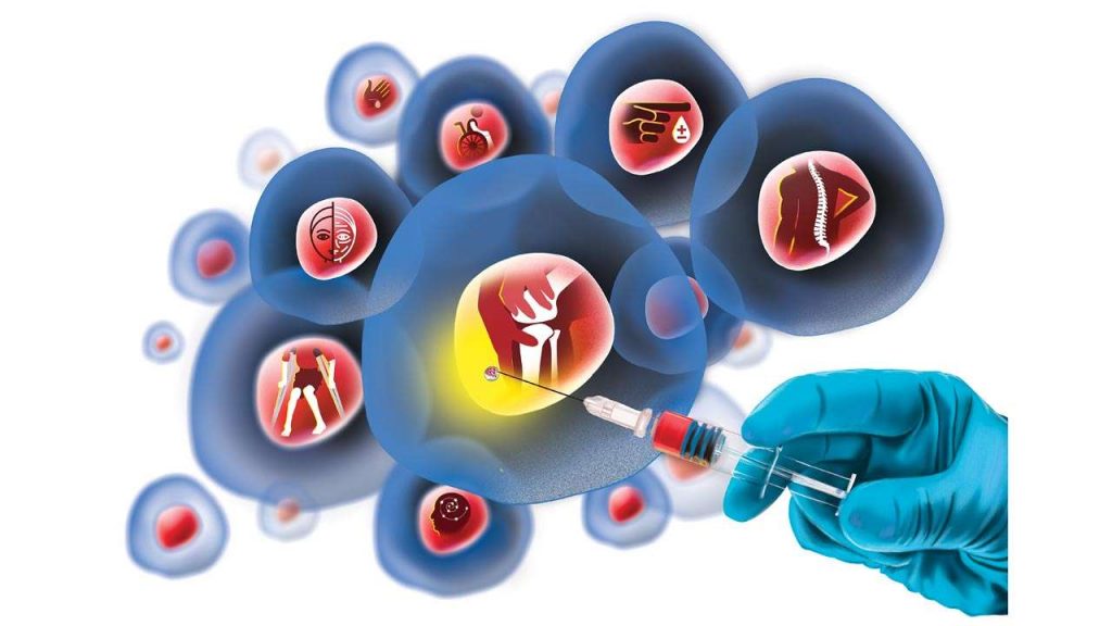 Tế bào gốc: Tiềm năng điều trị cho ngành Y học