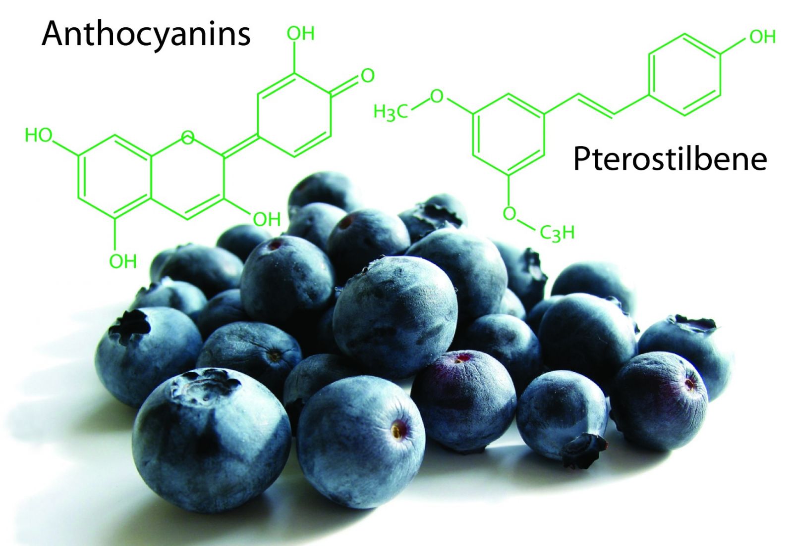 Thành phần Blueberry giúp tái tạo tế bào thành kinh hiệu quả